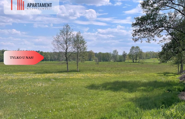 Malownicze działki wśród natury w Niesułowicach