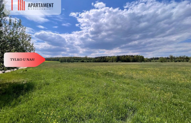 Malownicze działki wśród natury w Niesułowicach