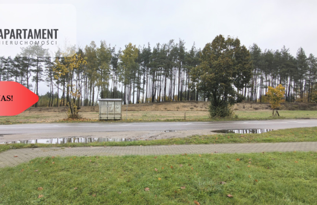 Działka Inwestycyjna w Skarszewach - 3964m² z WZ