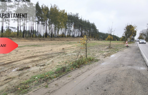 Działka Inwestycyjna w Skarszewach - 3964m² z WZ