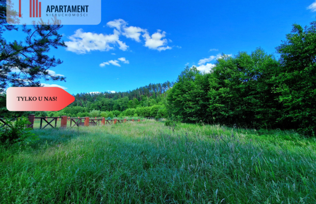 Tylko u Nas! Działka przy Wdzie w Borach Tucholski