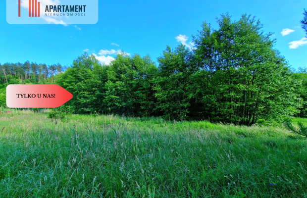 Tylko u Nas! Działka przy Wdzie w Borach Tucholski