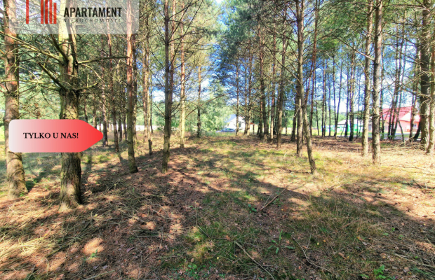 Działka budowlana w Borach Tucholskich!