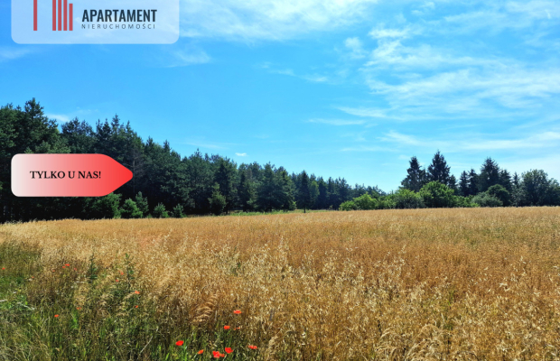 Działka budowlana w Borach Tucholskich!