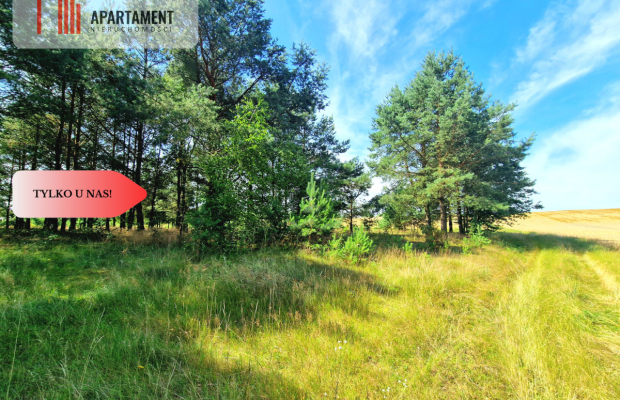 Działka budowlana w Borach Tucholskich!