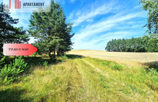 Działka budowlana w Borach Tucholskich!