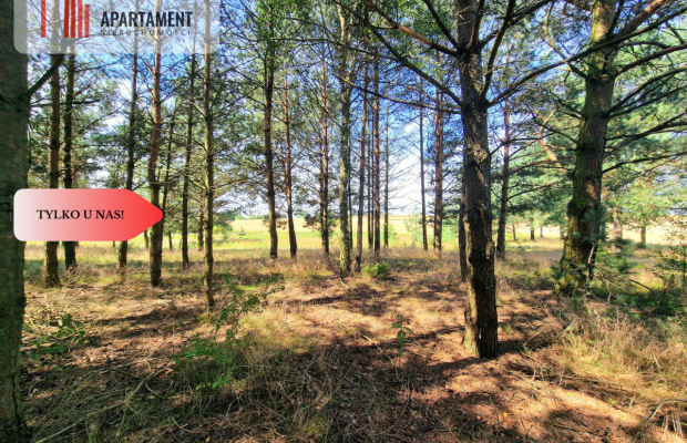 Działka budowlana w Borach Tucholskich!