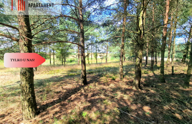 Działka budowlana w Borach Tucholskich!