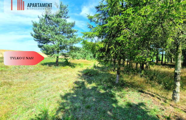 Działka budowlana w Borach Tucholskich!