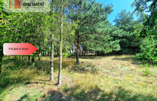Działka budowlana w Borach Tucholskich!