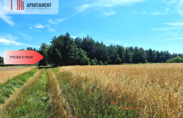 Działka budowlana w Borach Tucholskich!