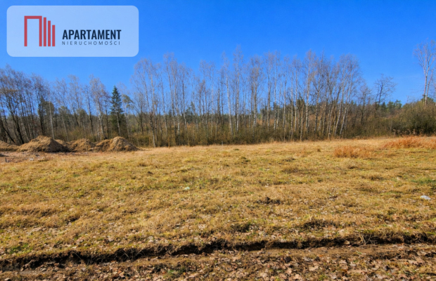 Nad jeziorem, przy lesie.