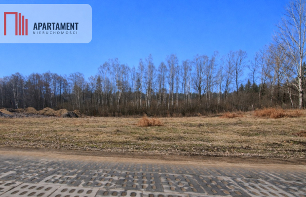 Nad jeziorem, przy lesie.