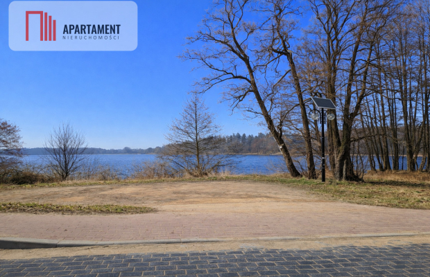 Nad jeziorem, przy lesie.