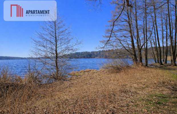 Nad jeziorem, przy lesie.