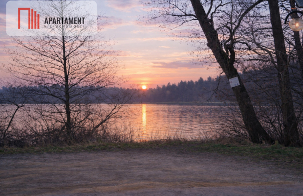 Nad jeziorem, przy lesie.