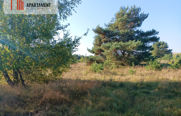 ATRAKCYJNA ZACISZNA I ZIELONA DZIAŁKA !!!