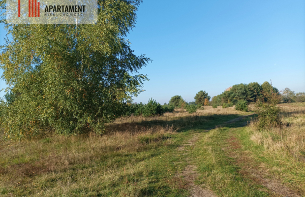 ATRAKCYJNA ZACISZNA I ZIELONA DZIAŁKA !!!