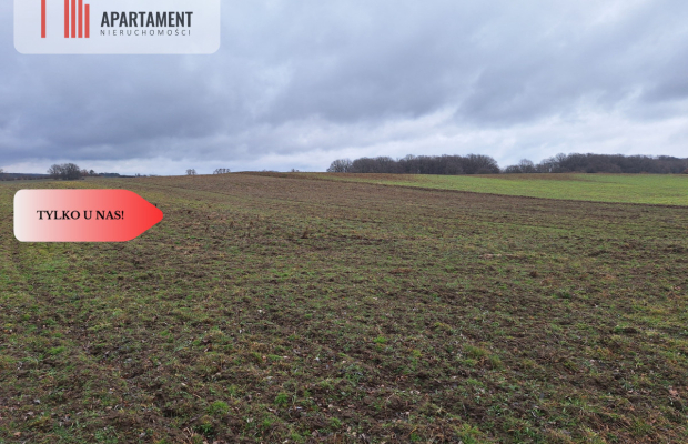 Działka Rolna Rogów Wołowski/gm. Wińsko