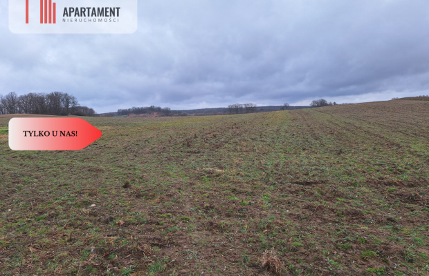 Działka Rolna Rogów Wołowski/gm. Wińsko