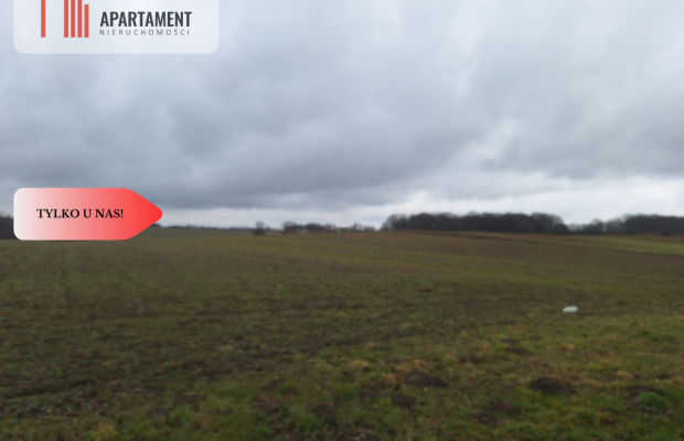 Działka Rolna Rogów Wołowski/gm. Wińsko