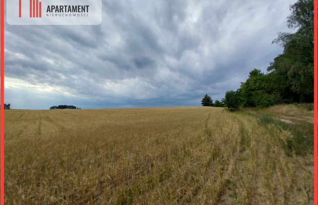 Działki pod lasem w Łabiszynie!
