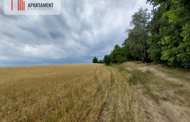 Działki pod lasem w Łabiszynie!