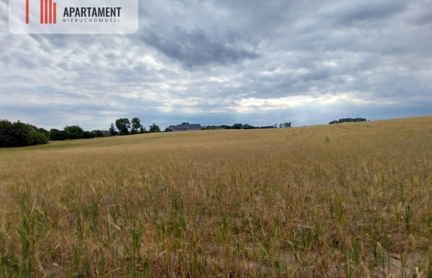 Działki pod lasem w Łabiszynie!