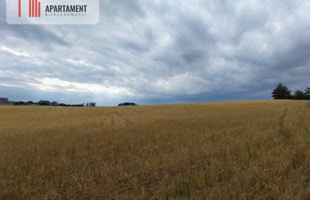 Działki pod lasem w Łabiszynie!