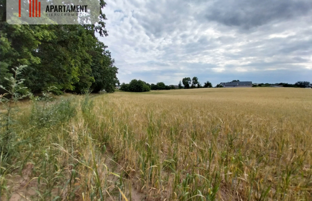 Działki pod lasem w Łabiszynie!