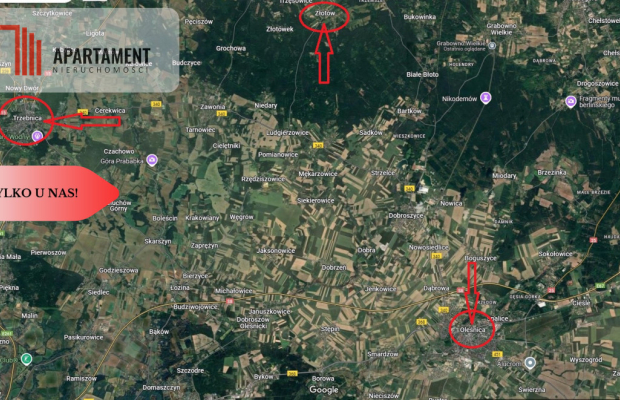 Działka w leśnym otoczeniu w Złotowie gm. Zawonia