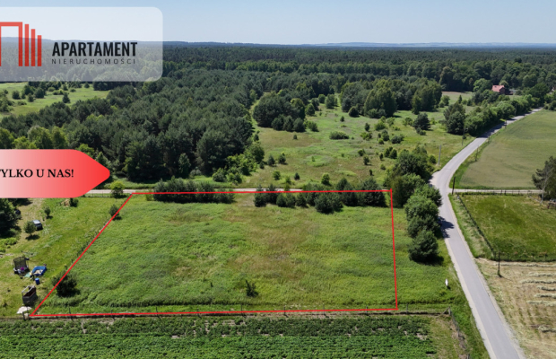 Działka w leśnym otoczeniu w Złotowie gm. Zawonia