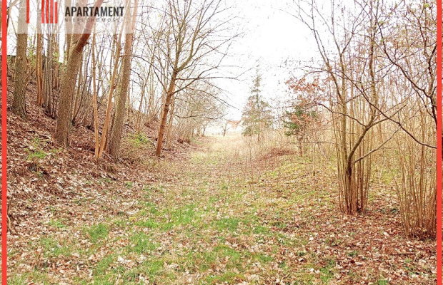 Malownicza działka wsród drzew!!!
