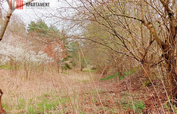Malownicza działka wsród drzew!!!