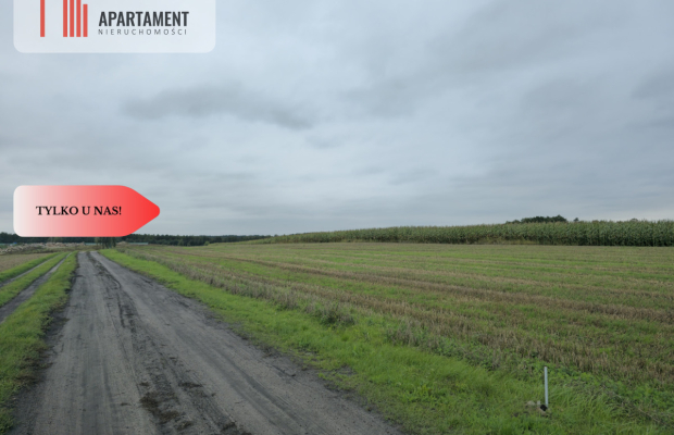 Działka budowlana z WZ ,blisko jeziora Warlubie