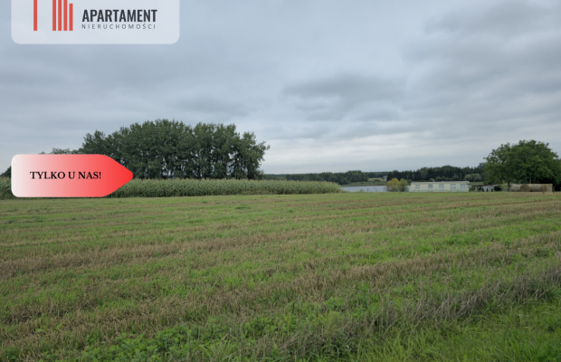 Działka budowlana z WZ ,blisko jeziora Warlubie