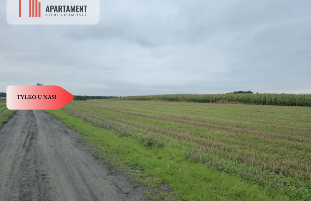 Działka budowlana z WZ ,blisko jeziora Warlubie