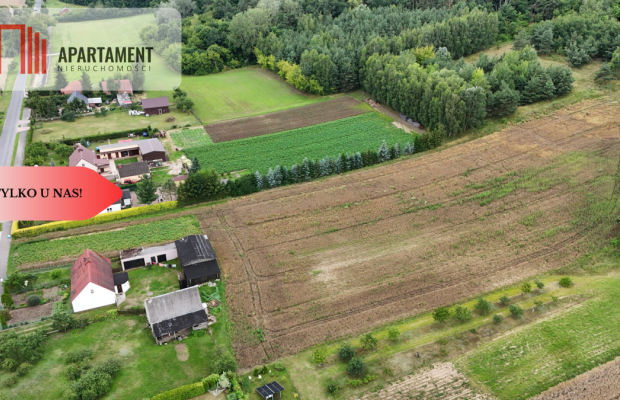 Tylko u nas! Działka 1,13 ha Gruczno REZERWACJA!