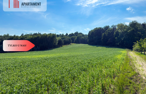Tylko u nas! Działka 1,13 ha Gruczno REZERWACJA!