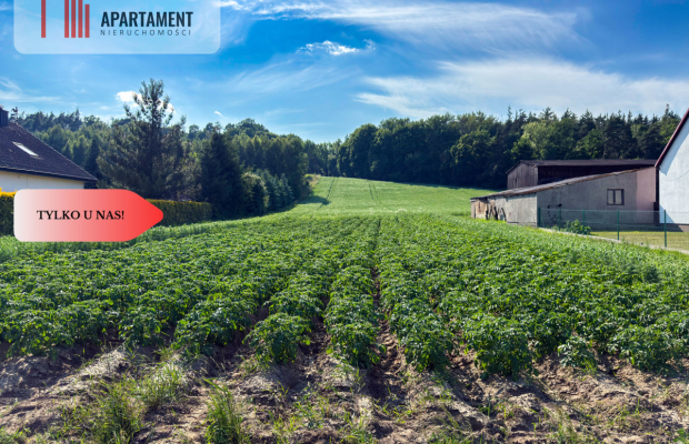 Tylko u nas! Działka 1,13 ha Gruczno REZERWACJA!