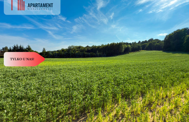 Tylko u nas! Działka 1,13 ha Gruczno REZERWACJA!