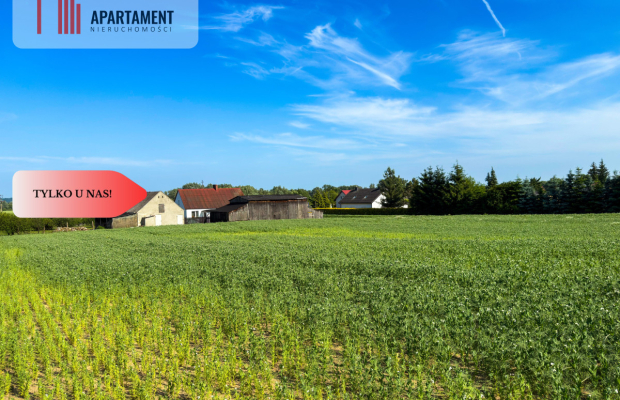 Tylko u nas! Działka 1,13 ha Gruczno REZERWACJA!