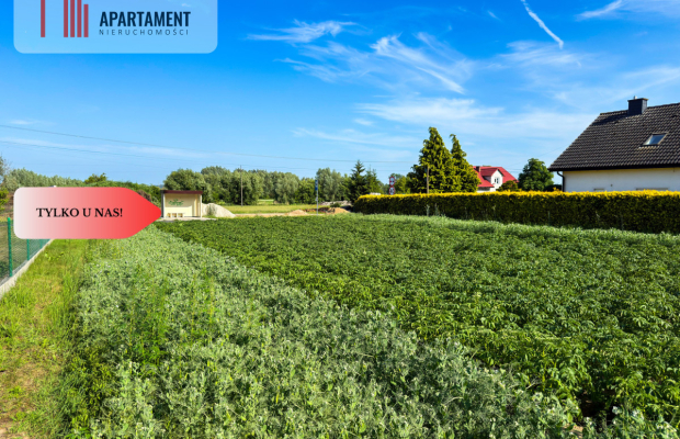 Tylko u nas! Działka 1,13 ha Gruczno REZERWACJA!