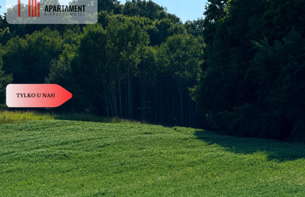 Tylko u nas! Działka 1,13 ha Gruczno REZERWACJA!