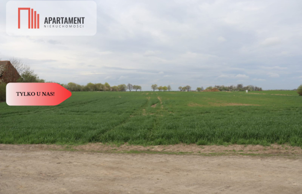 Duża działka 1,15 ha z zabudowaniami