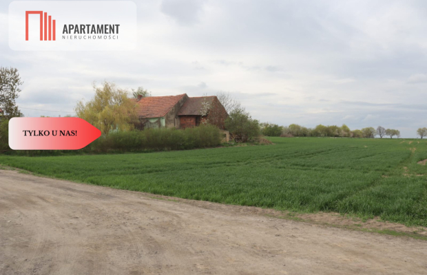 Duża działka 1,15 ha z zabudowaniami