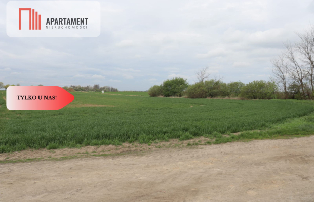 Duża działka 1,15 ha z zabudowaniami