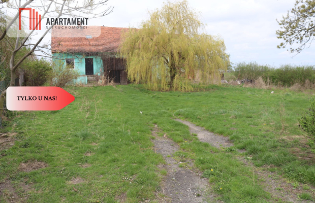 Duża działka 1,15 ha z zabudowaniami