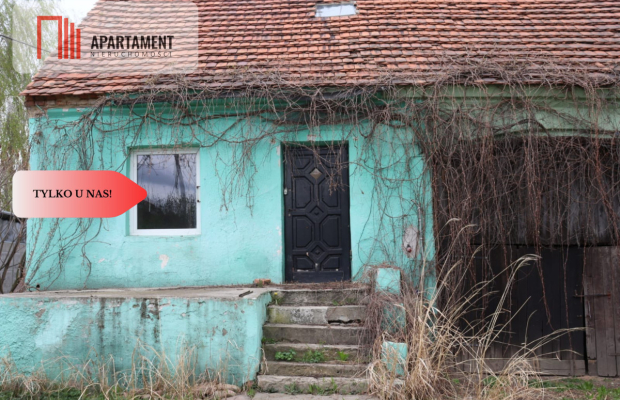 Duża działka 1,15 ha z zabudowaniami