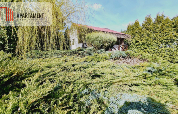 Piękna działka ROD Borówka |Niedaleko jeziora